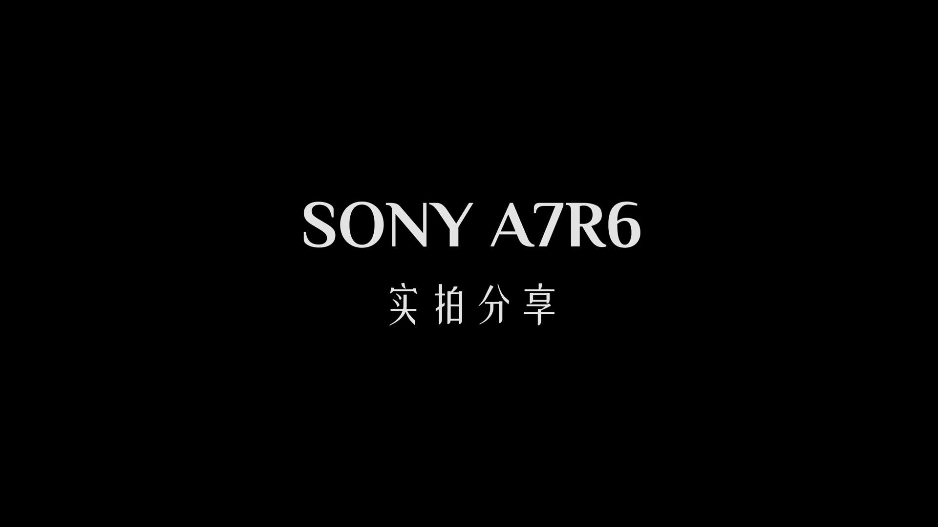 新机评测分享|索尼最高画质相机A7R6，杀疯了！SONY A7R6