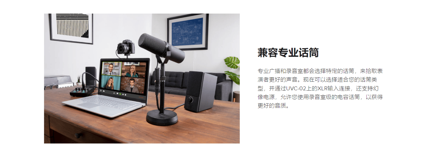 Roland罗兰UVC-02/HDMI直播/会议/音视频采集卡/回声抑制降噪/方便操控