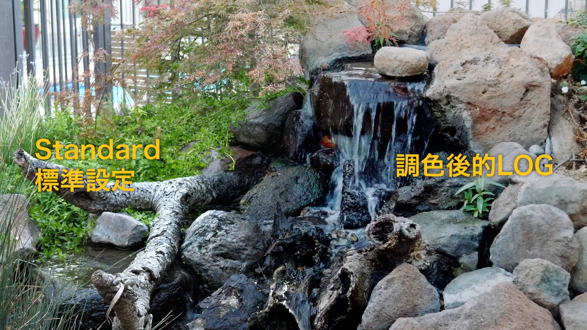 什么是LOG？拍摄LOG的时候如何曝光？