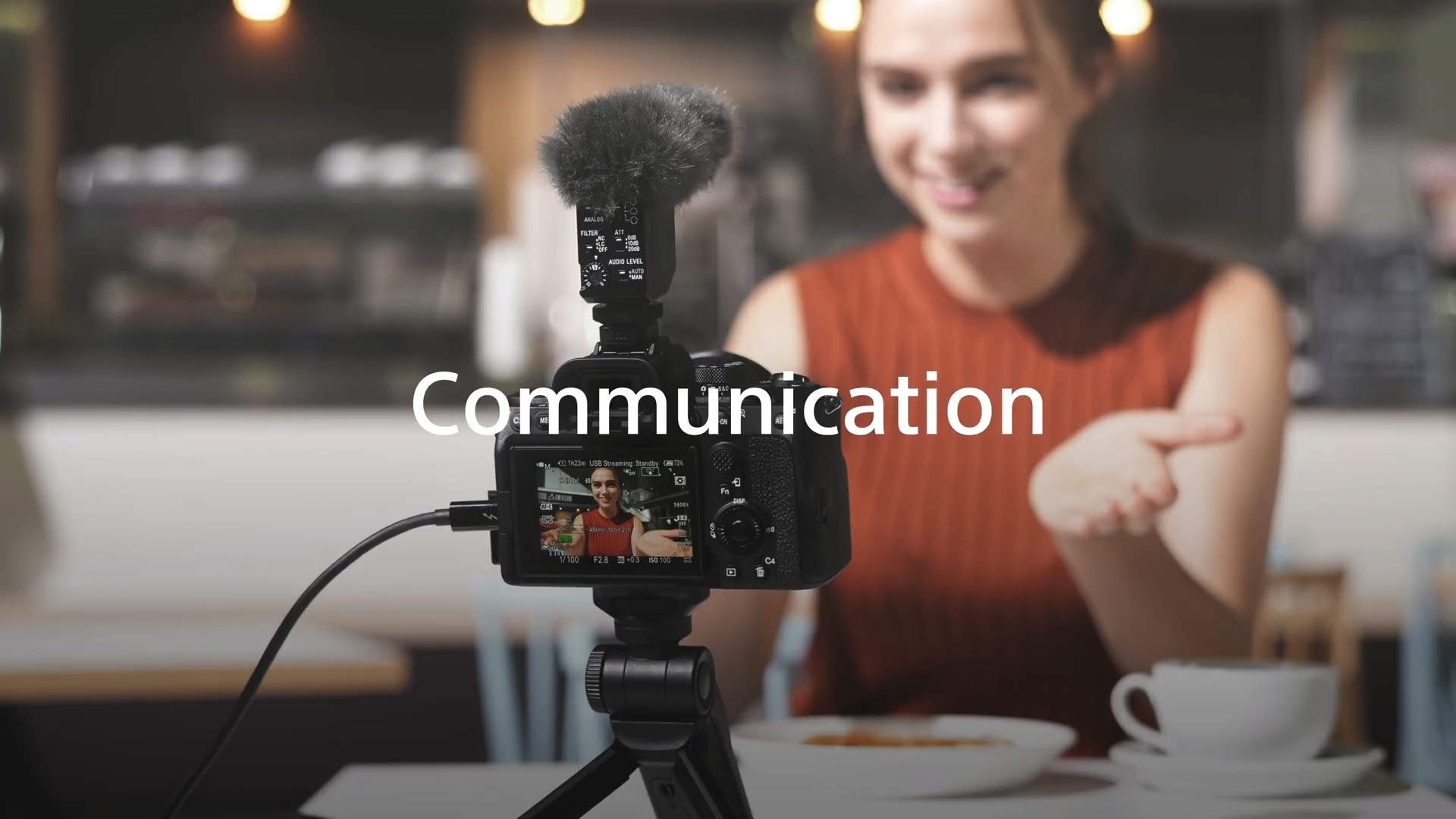 性價比之王 Sony A7IV 實測--3300萬像素/4K60P/側翻屏幕都一應俱全