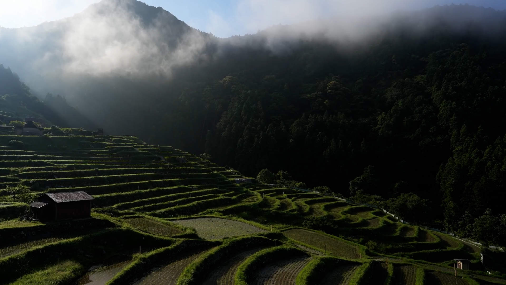 性價比之王 Sony A7IV 實測--3300萬像素/4K60P/側翻屏幕都一應俱全