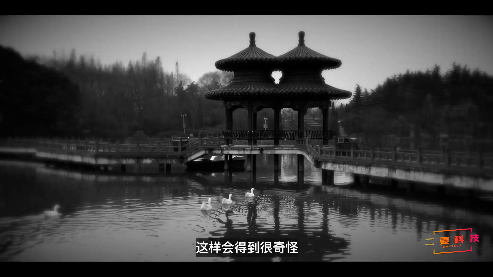 镜头运动有章法!手机拍视频时,摇、移、升降镜头这样应用