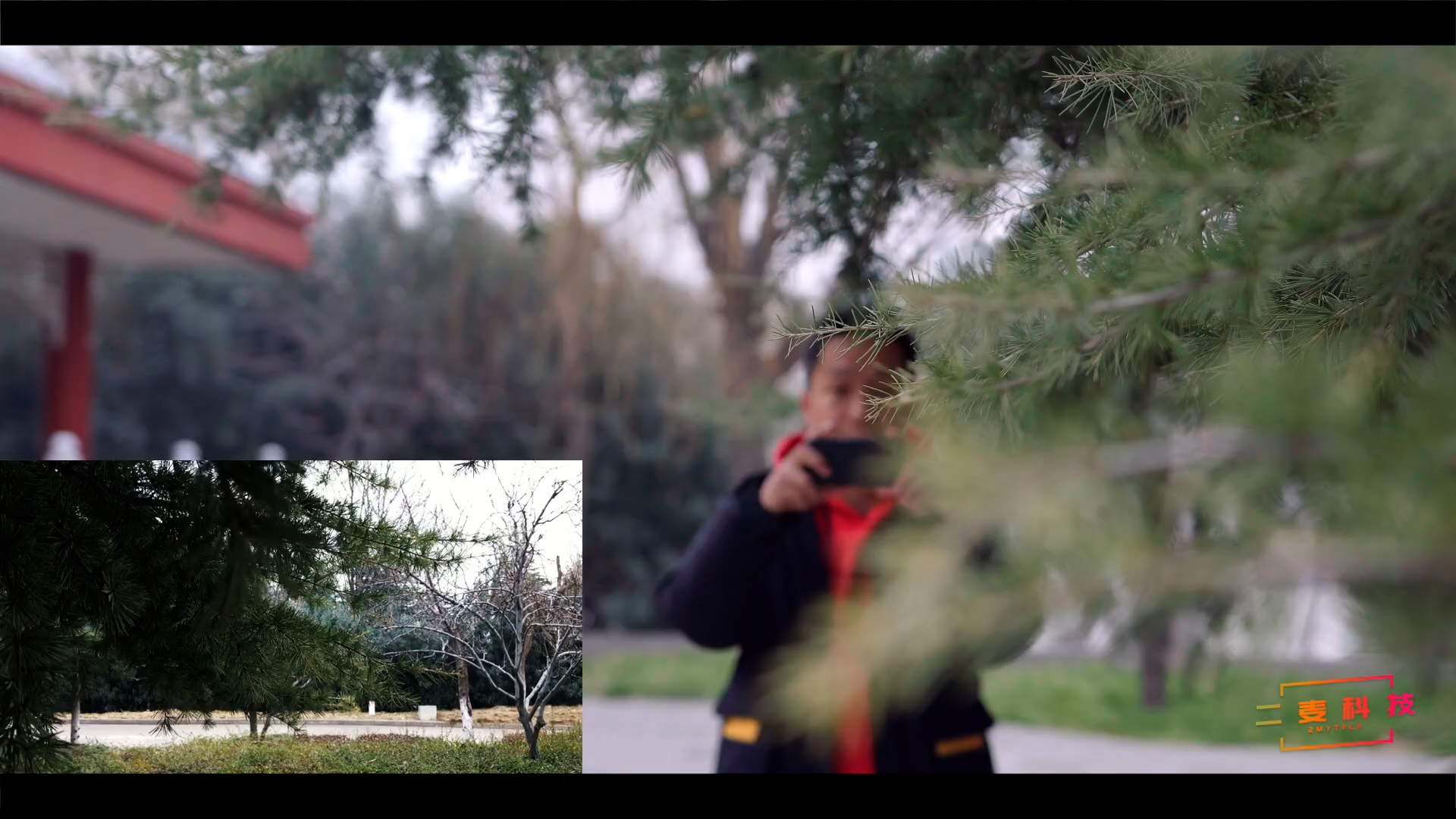 镜头运动有章法!手机拍视频时推镜头与拉镜头的这样运用