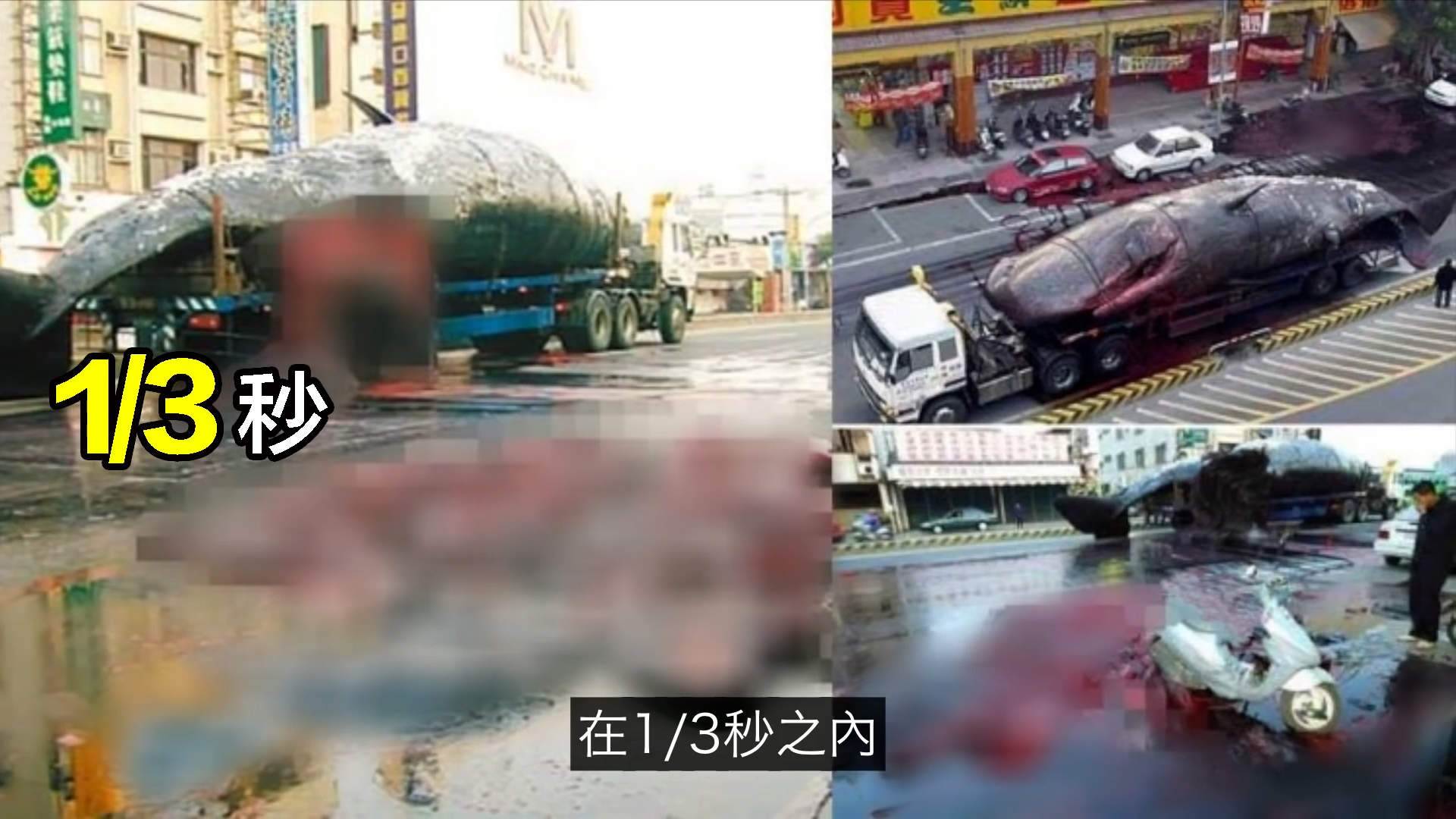 太可怕了！这是一个有味道的帖子，鯨爆：大自然的超级无敌炸彈