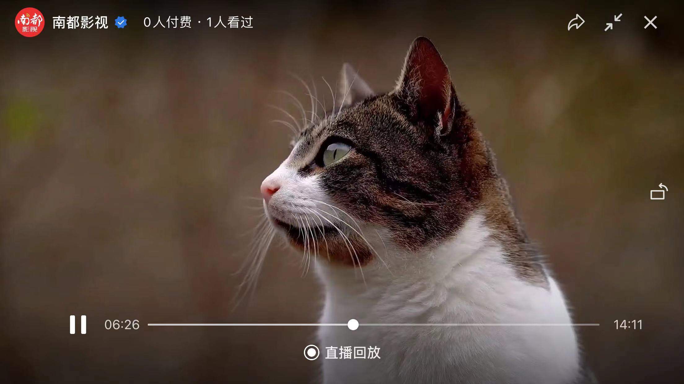 微信视频号直播可以--回放了~~回放了~~