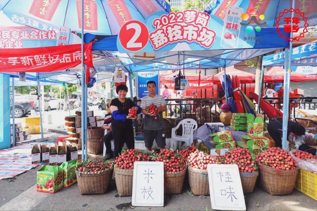 黄埔荔枝节今日开幕!专业VR直播加持~~火红的荔枝颗颗饱满啊!大家速速来围观!!