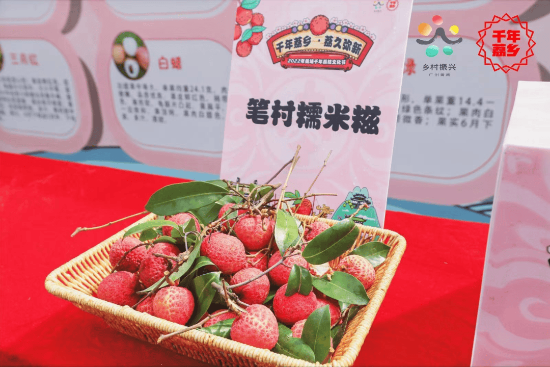 黄埔荔枝节今日开幕!专业VR直播加持~~火红的荔枝颗颗饱满啊!大家速速来围观!!