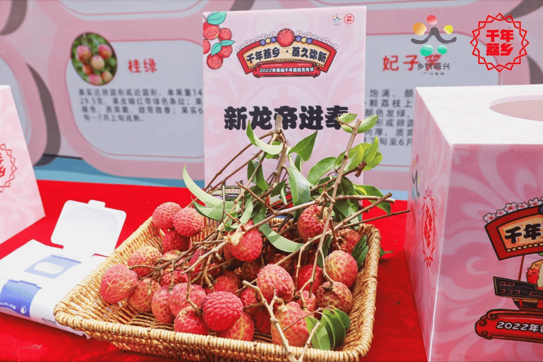 黄埔荔枝节今日开幕!专业VR直播加持~~火红的荔枝颗颗饱满啊!大家速速来围观!!