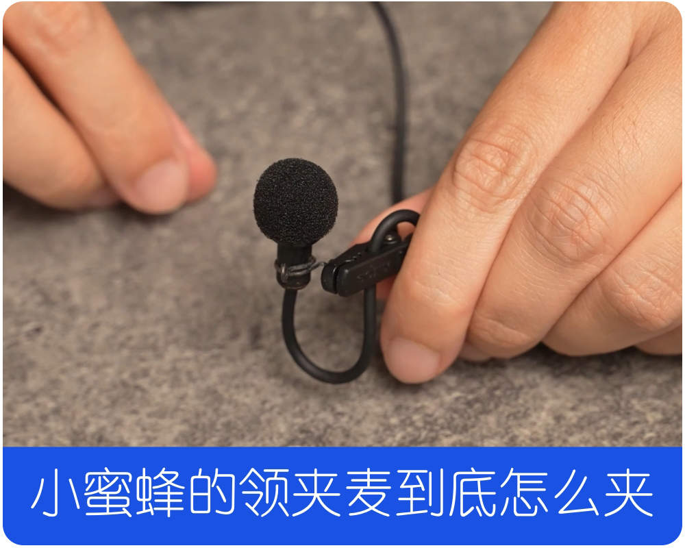 学习再学习，小蜜蜂的领夹麦到底怎么夹？很多人不懂  转发自-杰客森林