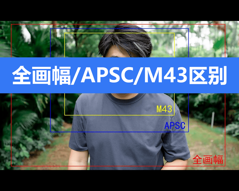 持续学习不迷路/全画幅/APSC/M43到底有什么区别/摄影基础知识