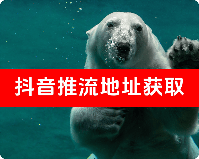 实用工具分享/抖音推流码获取软件/帖子最下方有下载链接