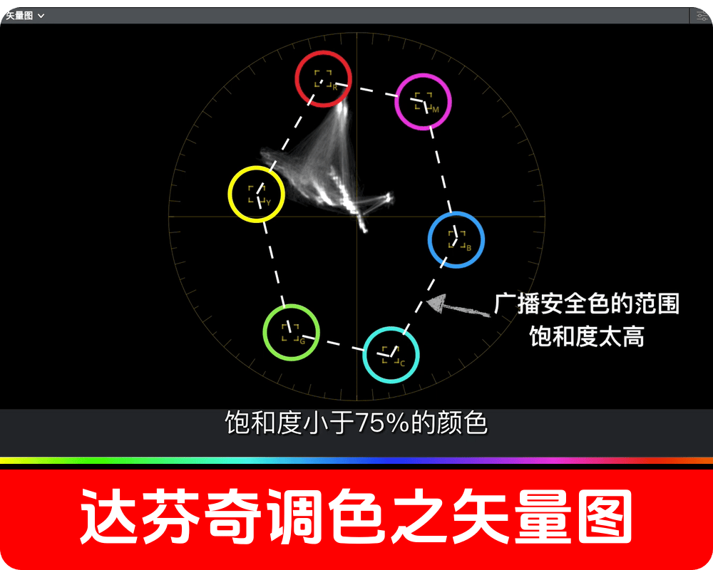 学习学习再学习/达芬奇调色之矢量图/调色基础知识难点